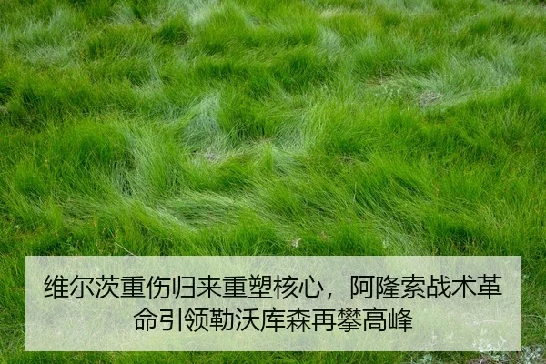 wei-er-ci-zhong-shang-gui-lai-zhong-su-he-xin-a-long-suo-zhan-shu-ge-ming-yin-ling-lei-wo-ku-sen-zai-pan-gao-feng-3-946.jpg