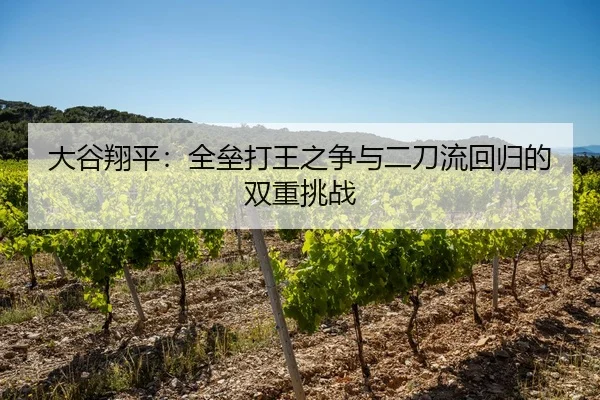 大谷翔平：全垒打王之争与二刀流回归的双重挑战