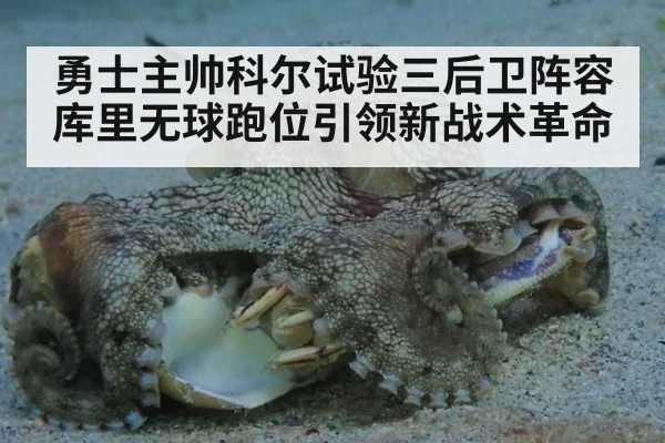 勇士主帅科尔试验三后卫阵容库里无球跑位引领新战术革命